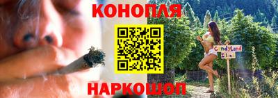амф Кингисепп