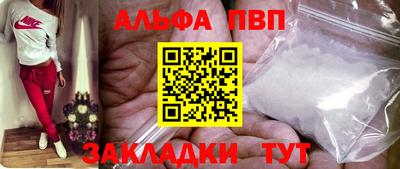 амф Кингисепп