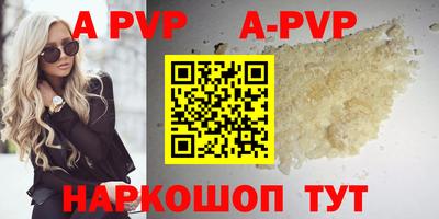 амф Кингисепп