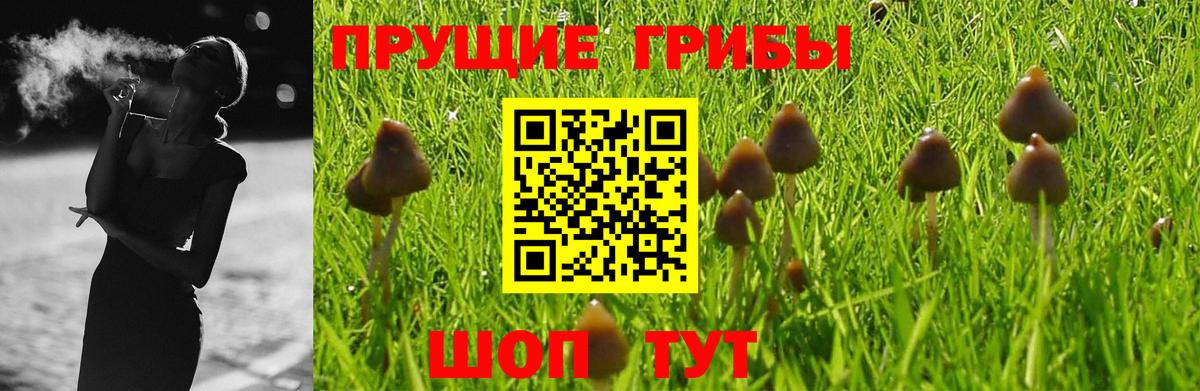 Псилоцибиновые грибы MAGIC MUSHROOMS Кувандык